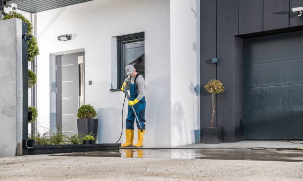 Best Driveway Pressure Washing  in Detroit, MI